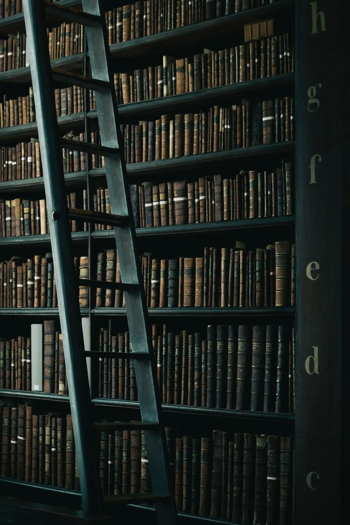 Bibliothek mit Büchern und Leiter
