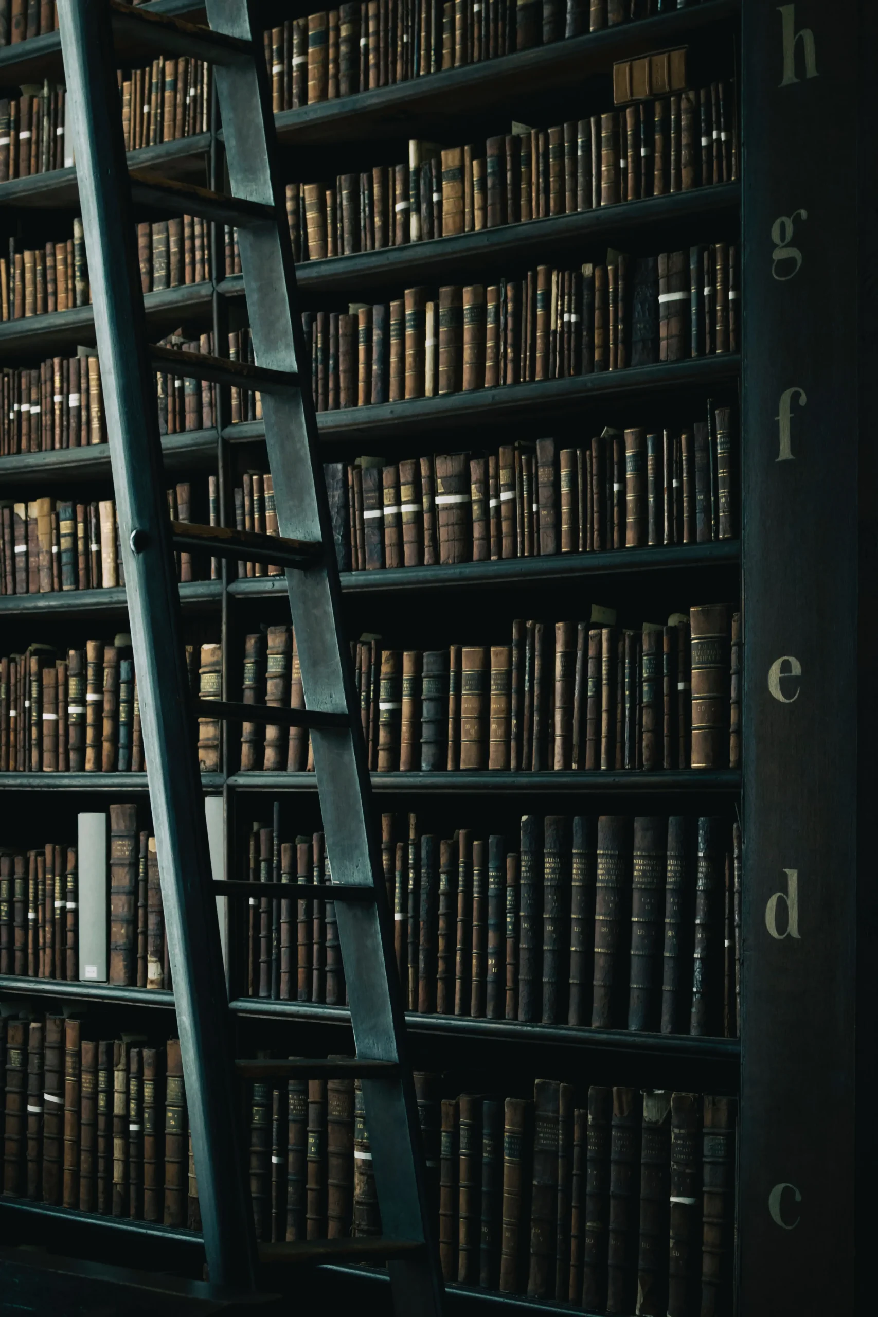 Bibliothek mit Büchern und Leiter